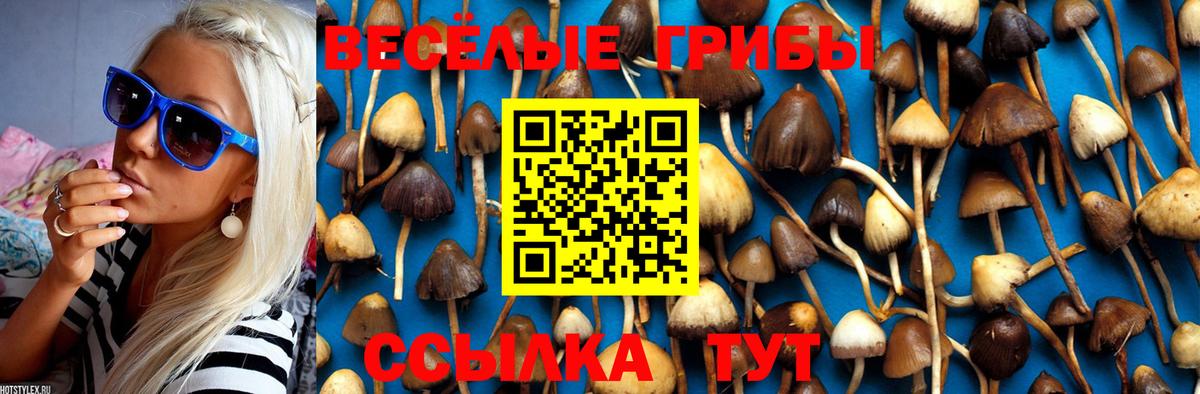 Галлюциногенные грибы Psilocybine cubensis  Вход с VPN  Кубинка  Псилоцибиновые грибы Psilocybine cubensis 